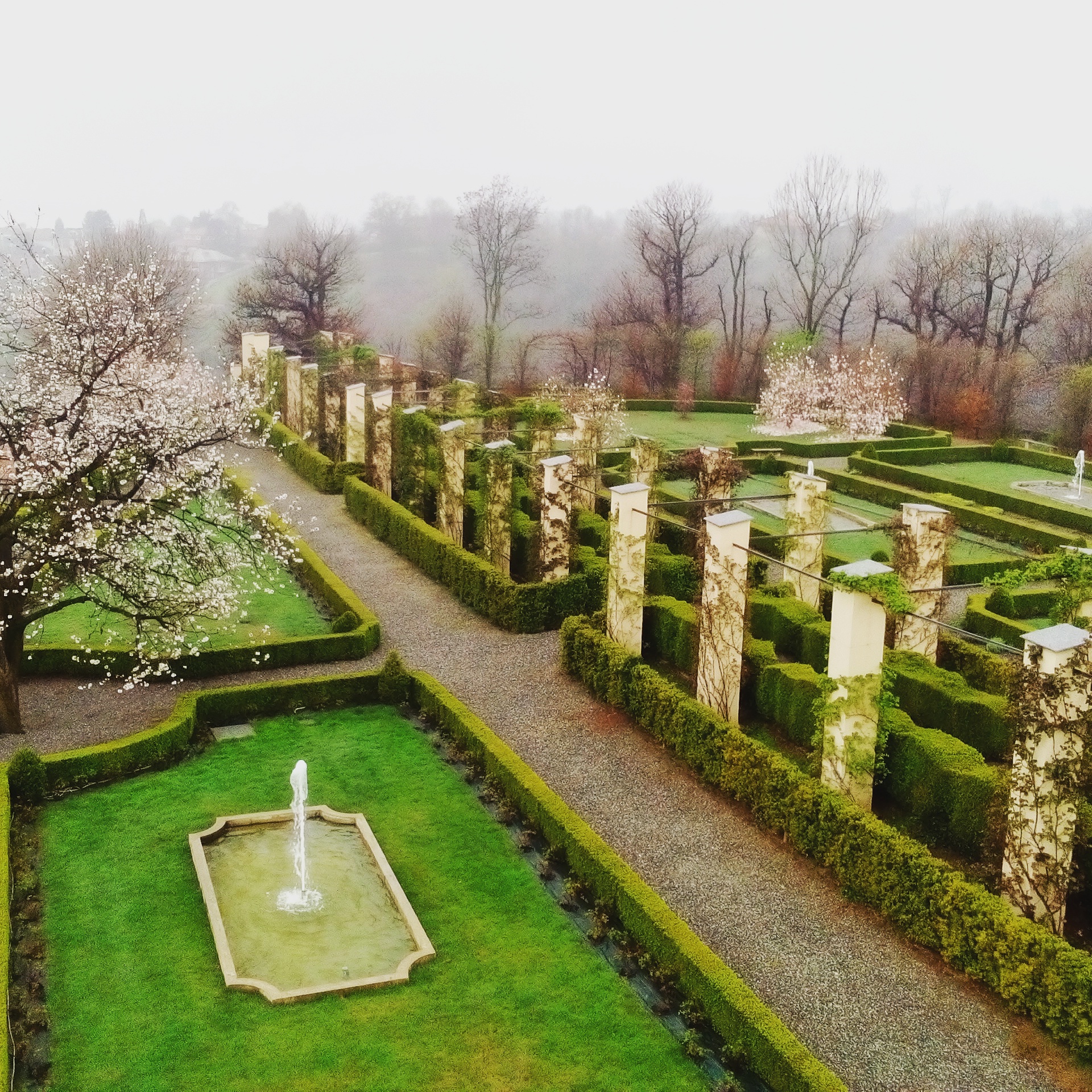 IN VOLO SUL GIARDINO