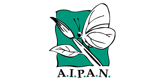 Aipan